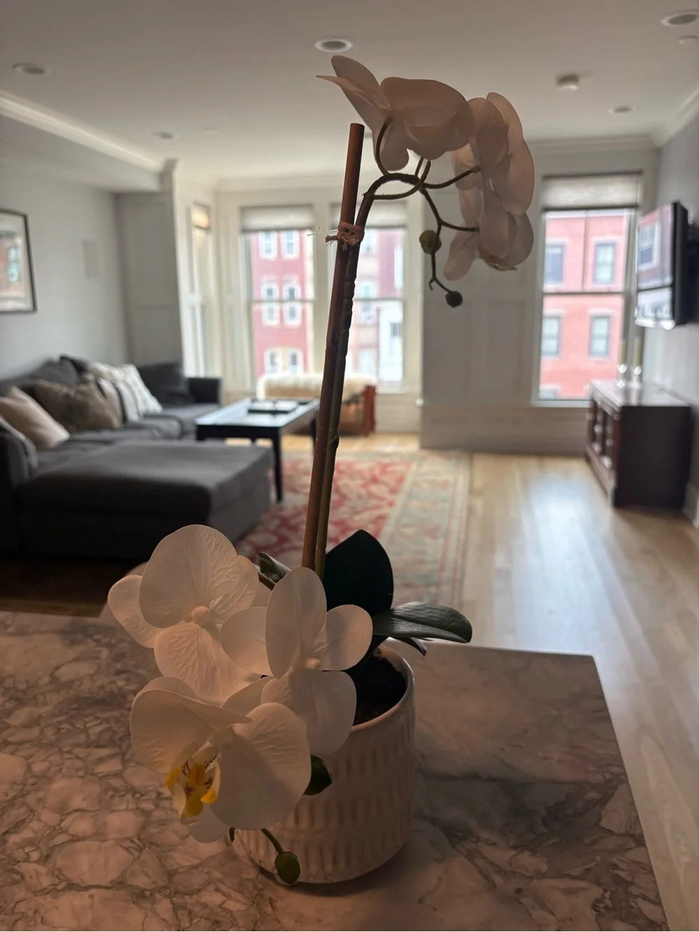 New White Phalaenopsis Orchid in Ceramic Pot - Home Accents